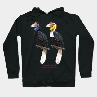 Wreathed hornbill | Rhyticeros undulatus ⚥ Hoodie